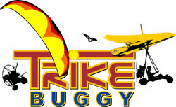 TrikeBuggy