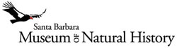 Museum
