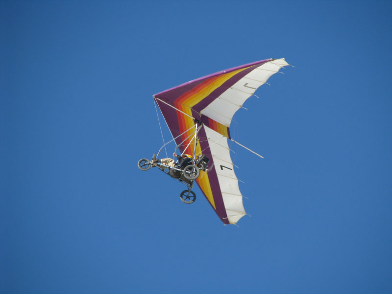 IMG_1557_8