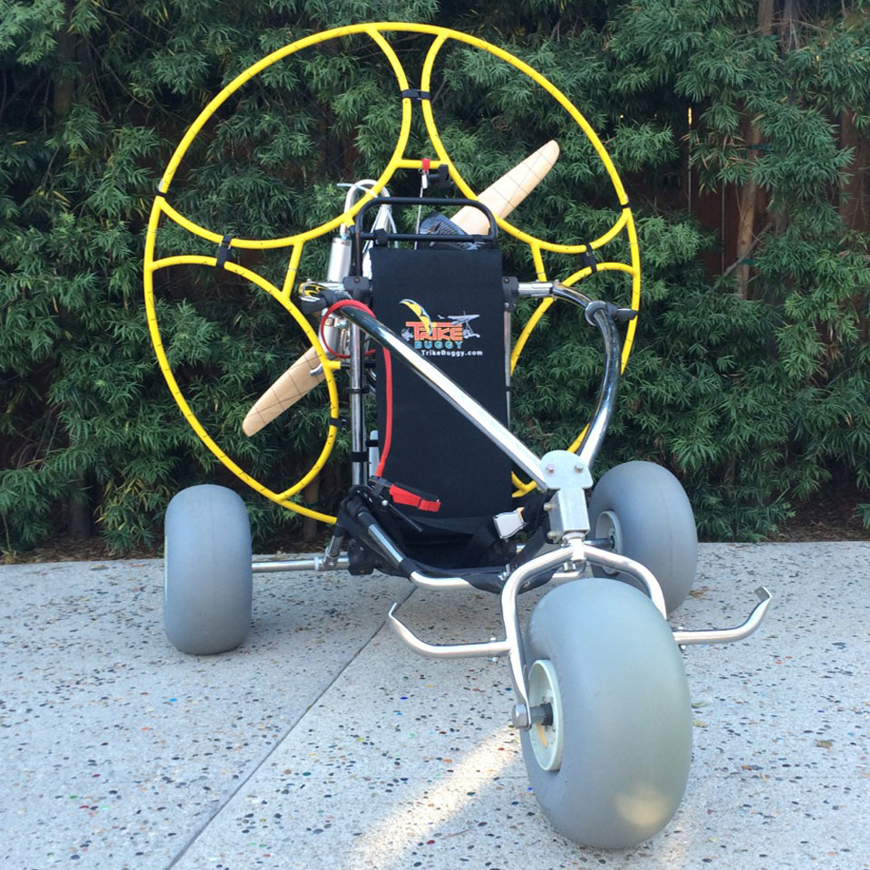 Trike buggy hotsell for sale